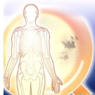 法医精神疾病鉴定